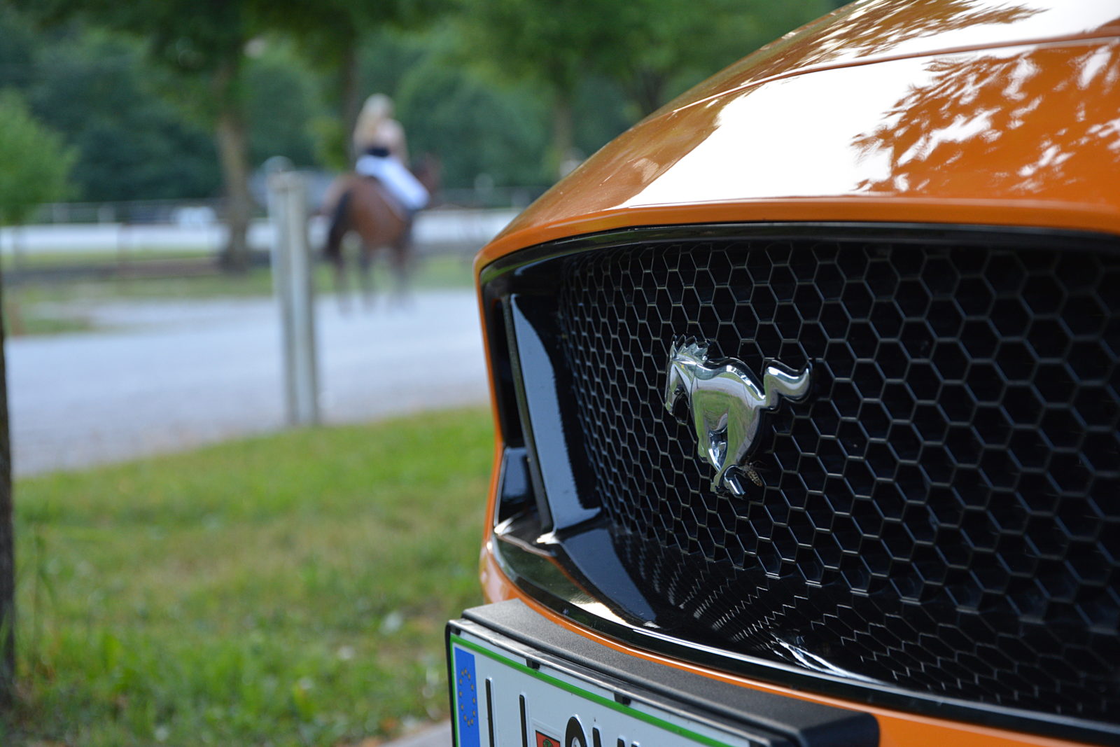 Ukročeni konji &#8211; Ford Mustang